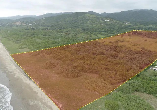 Foto de Vendo Macrolote de 20 Ha en Sector de Ayampe Ecuador, Manabí