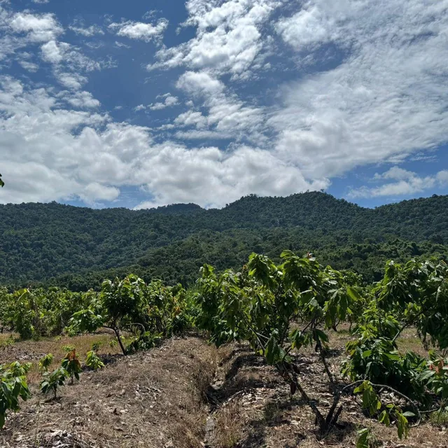 Foto de Vendo Hacienda en Sector Churute Guayas, Guayas