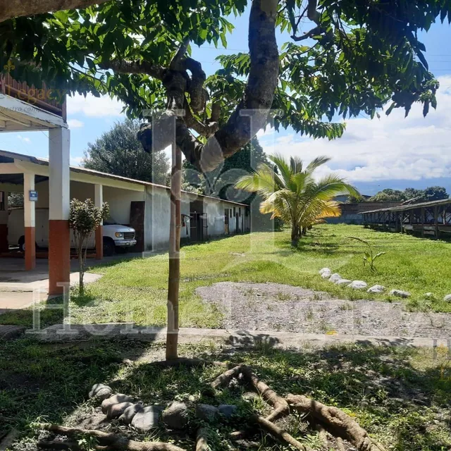 Foto de Haciendas en Venta – Inversión Estratégica Norte de Naranjal Am, Guayas