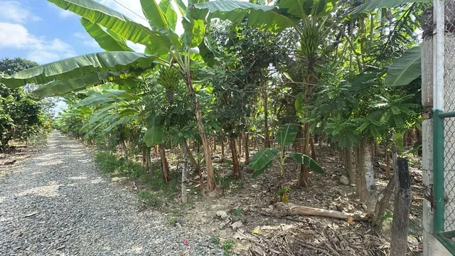 Foto de Terrenos en Venta en Buenavista, Pasaje, El Oro