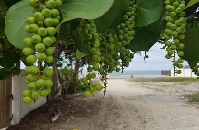 Foto de En Venta Terreno Esquinero en Punta Carnero, Salinas a Media Cuadra de La Playa