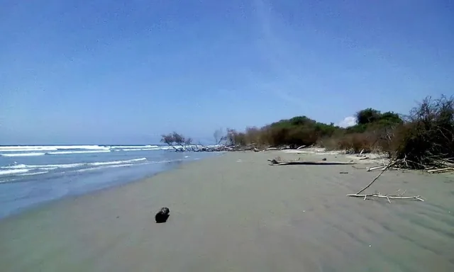 Foto de Terreno en Isla Jupiter en Venta